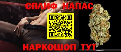 наркотики Будённовск
